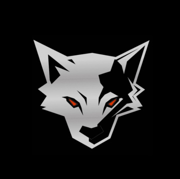 SilverFox | Digital Marketing Agency
