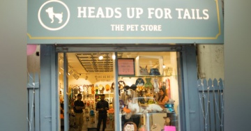 Heads Up For Tails Pet Store | Ardee Mall, Gurgaon