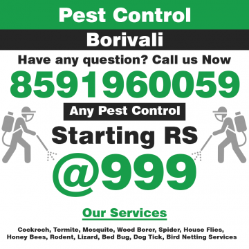 Pest Control Service In Borivali