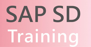 Enhance Your Career With SAP SD Training Course