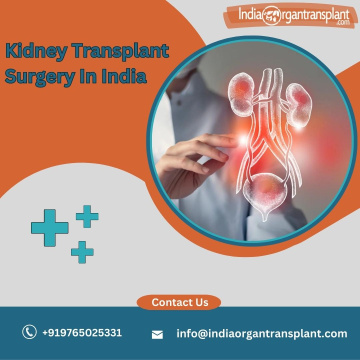 Cost of Kidney Transplant Surgery India