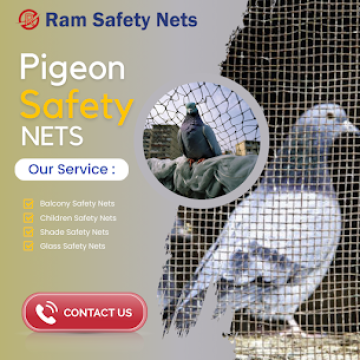 Pigeon Safety Nets in Chennai