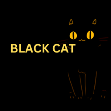 Black Cat: Premier CCTV Shop in Mangolpuri