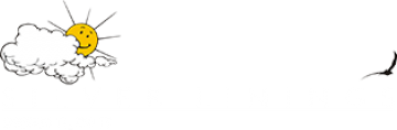 Silver Linings