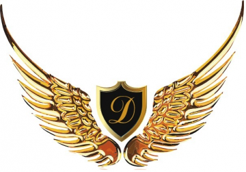 Dhillon Aviation Private Limited