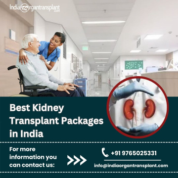 Cheap Cost of Kidney Transplant Surgery in India