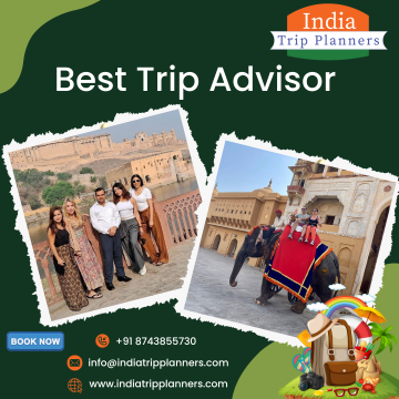 Best Trip Advisor in New Delhi