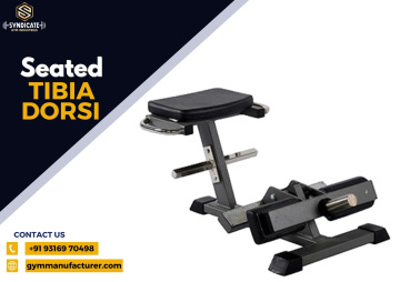 SEATED TIBIA DORSI