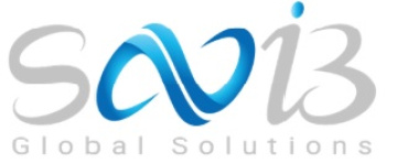 Savi3Hr - Hr and Payroll Management Services
