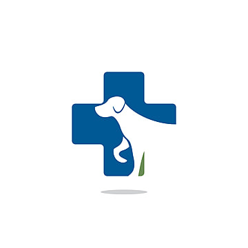 Veterinary Clinic Dr. Goyle