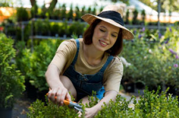 Lawn Mowing Maintenance Melbourne - I love gardening