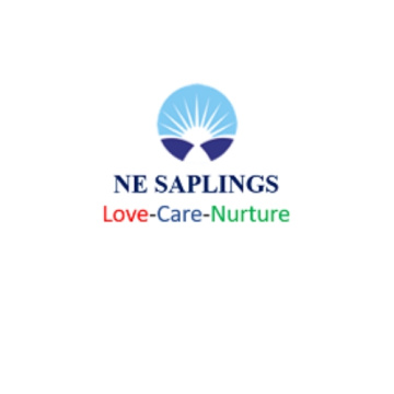 Top-Rated Pre Nursery School in New Delhi