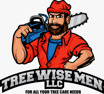Tree Wise Men LLC