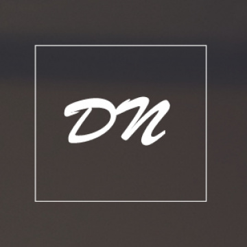Digital Netsol - Digital Marketing Company India