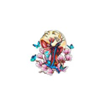 best thyroid doctor in chennai
