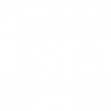 tsa-legal