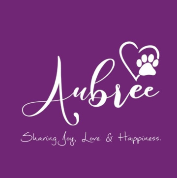 Premium Yorkshire Terrier & Maltese Puppies for Sale in Bangalore – Healthy & Certified