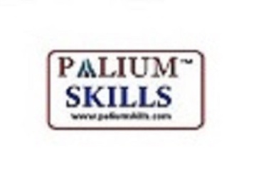 PALIUM SKILLS