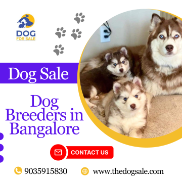 Dog Breeders in Bangalore
