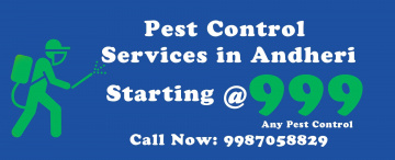 Pest Control Services in Andheri