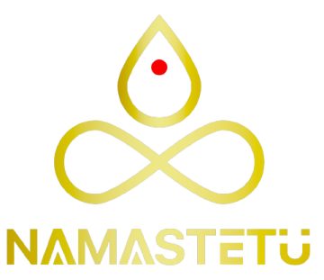 Digital marketing company indore - namastetu technologies