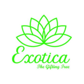 Helium Balloons Delivery In Delhi| Exotica The Gifting Tree