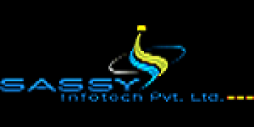 Best Digital Marketing Agency in Surat | Sassy Infotech