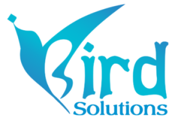 iBird Solutions – AI SEO, Digital Marketing & Website Development Company