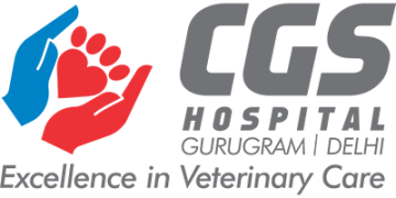 Hydrotherapy For Dogs | CGS Hospital