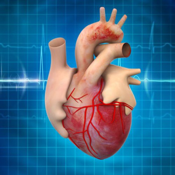 Top Heart Surgeon in Manipal Delhi