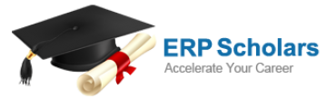 ERP Scholars Institute