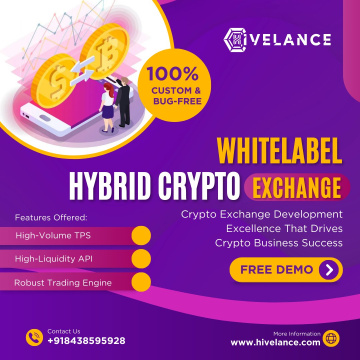 Launch Your Elite Hybrid Crypto Exchange at Low Cost