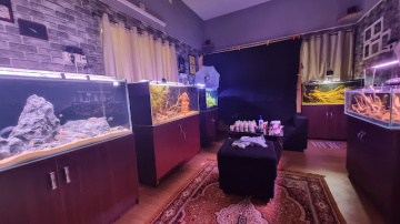 Aquarium Light in Madurai