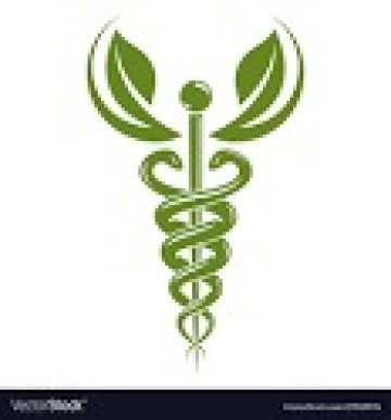 Holistic Touch physical therapy & wellness clinics | Physiotherapist in Lucknow