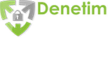 DemoDenetim Services