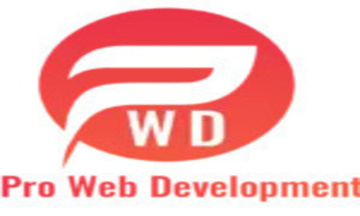 professional web development