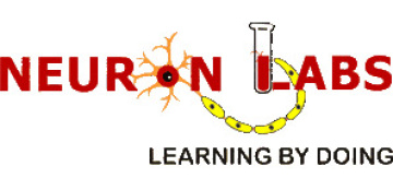 Neuron Labs: Elevating Education with Technological Excellence
