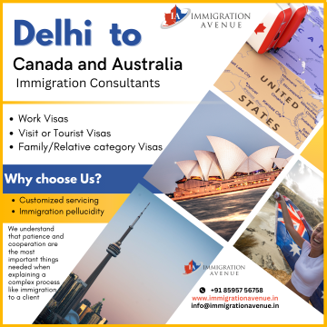 How to understand the difference between fraud and genuine immigration consultants in Delhi?