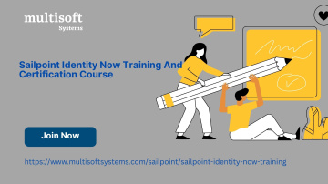 Sailpoint Identity Now Training And Certification Course