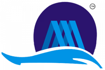 Magna Opus Software Services