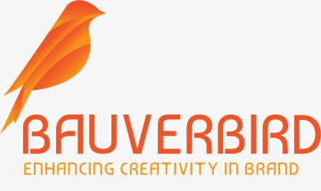 Digital Marketing company in Amritsar |  SEO |  The Bauverbird