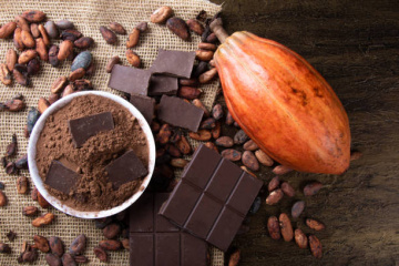 Sugar Free Chocolate | Healthy Chocolate