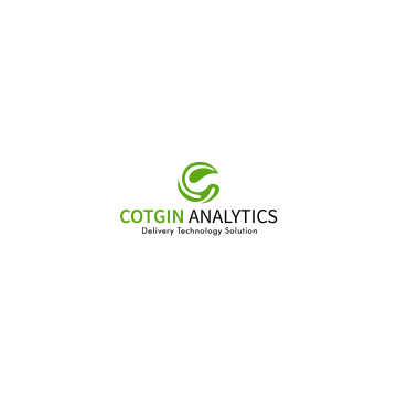 Cotgin Analytics - Web Design Agency in Delhi
