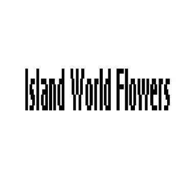 Flowers In A Box Brooklyn