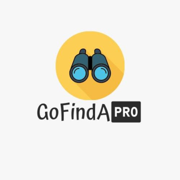 GoFindAPro Digital Marketing Agency in Aligarh