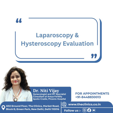 Dr. Niti Vijay – Gynecologist & IVF Specialist | Gynae Near me
