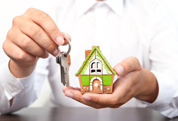property investment company nz