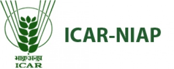 ICAR-NIAP