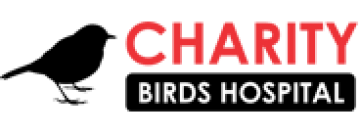 CHARITY BIRDS HOSPITAL