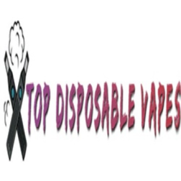 Top Disposable Vapes